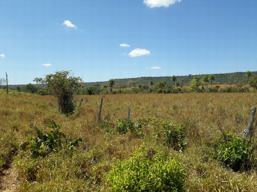 #1: Visão geral - general view