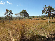 #9: Caminhada até a confluência - hike to the confluence