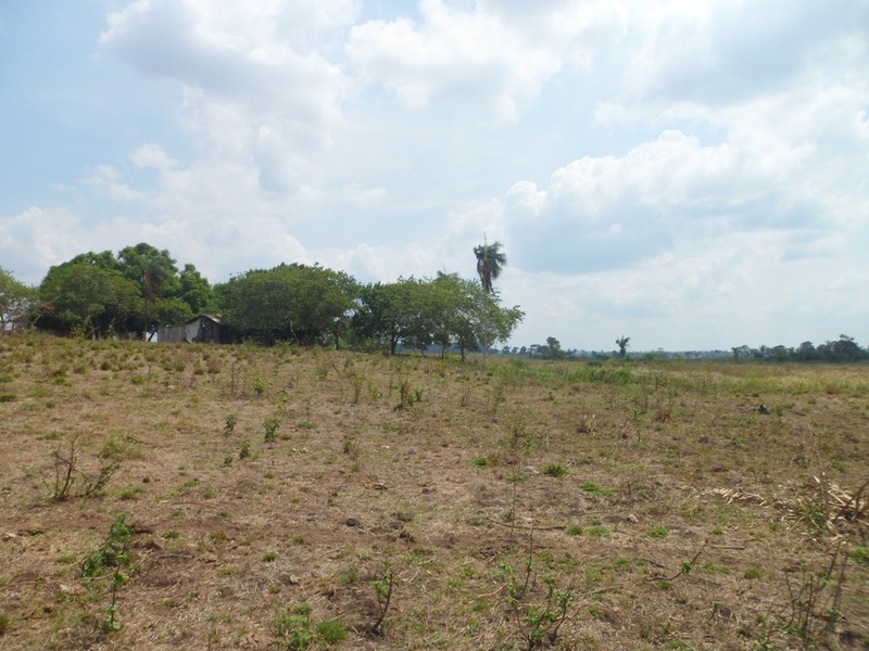 Visão geral - general view