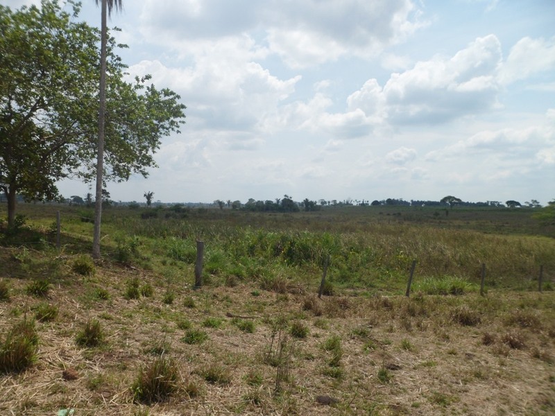 Visão oeste - west view