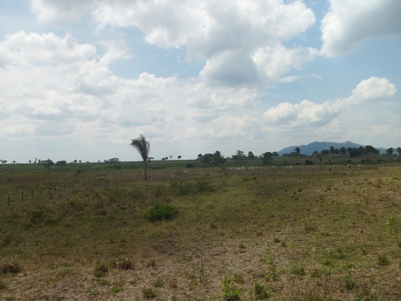 Visão norte - north view