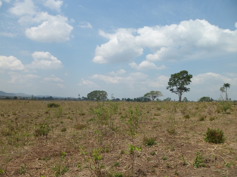 Visão leste - east view