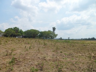 #1: Visão geral - general view