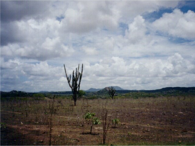 desert area 200 meters from the confluence