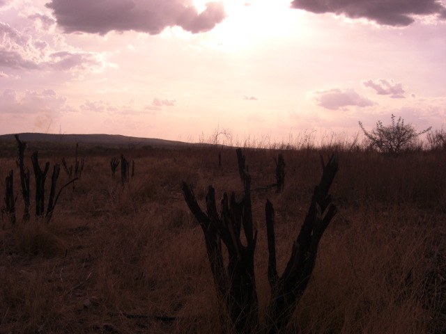 Visão do Oeste. View to west