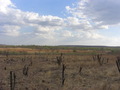 #3: Visão do Sul. View to south