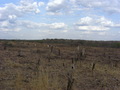 #4: Visão do Leste. View to east