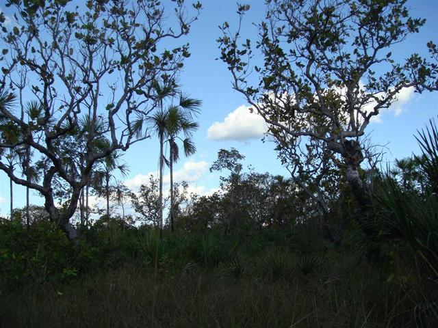 View to South