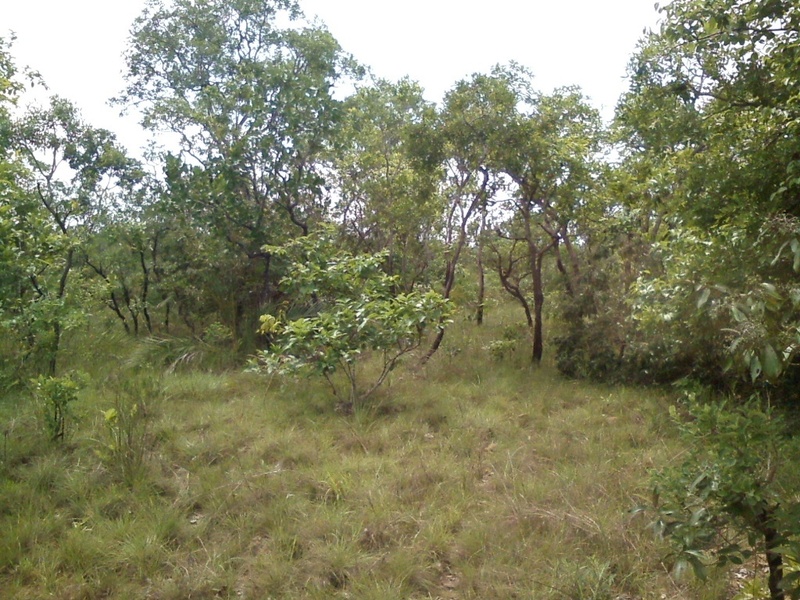 Visão geral - general view