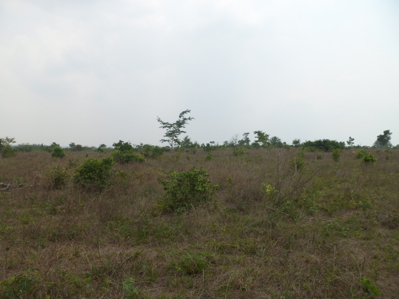 Visão sul - south view