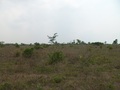 #5: Visão sul - south view