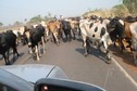 #9: Local traffic, to get to the point