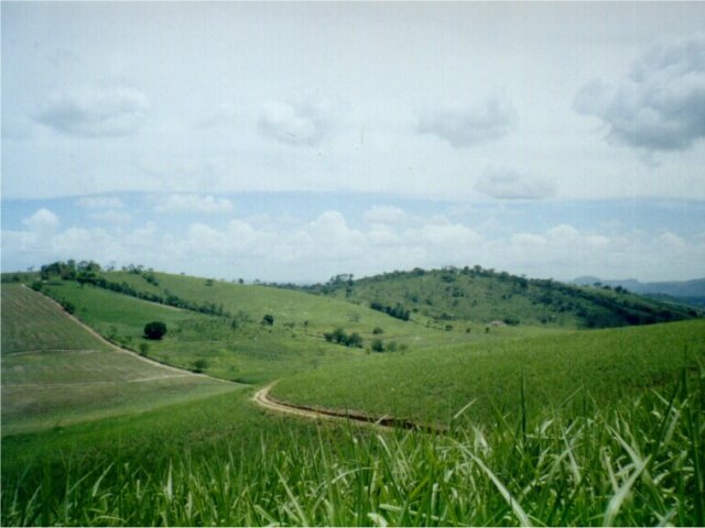 View from the confluence