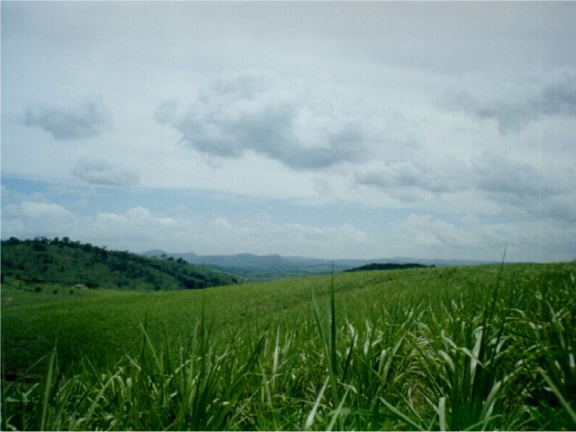 Another view from the confluence