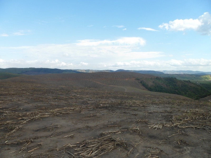 Visão geral - general view