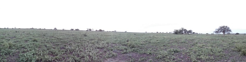 Visada Panorâmica Sul. Panoramic view to south
