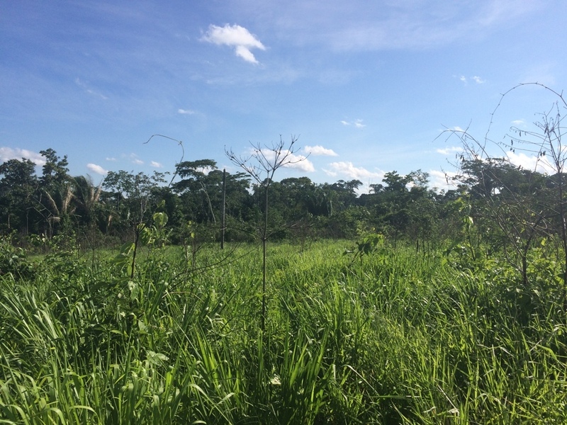 Visão geral - general view