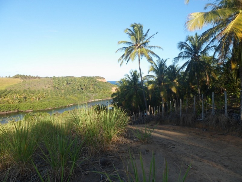 Caminho até a praia, parte 1: descida íngreme na estrada de terra - path to the beach, part 1: steep downhill in the dirt road