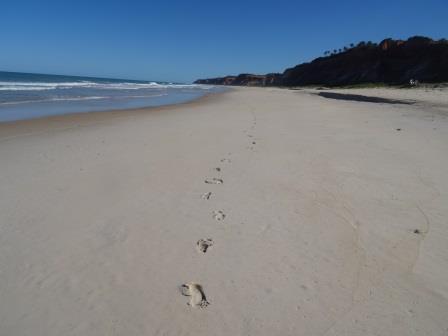 Playa (solo mis huellas). Beach (only my footprints)