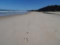 #6: Playa (solo mis huellas). Beach (only my footprints)