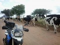 #5: Estradas de acesso à confluência 1. Access road 1 to CP