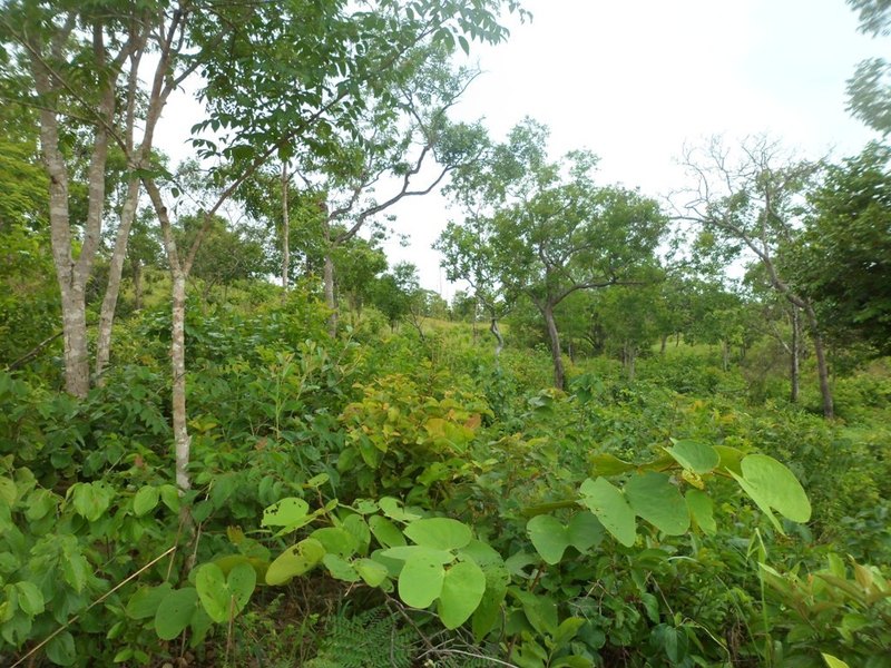 Visão leste - east view