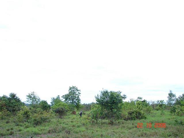 General view of the confluence area