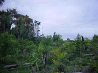 #1: View North of Confluence