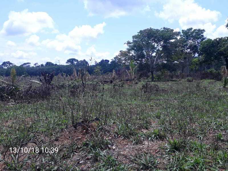 Fundo da propriedade / Property background