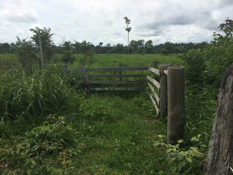 O que parece um dia ter sido uma porteira com acesso à estrada - what looks like it had been a gate with access to the road before