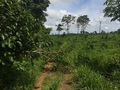 #5: Visão leste - east view