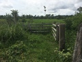 #8: O que parece um dia ter sido uma porteira com acesso à estrada - what looks like it had been a gate with access to the road before