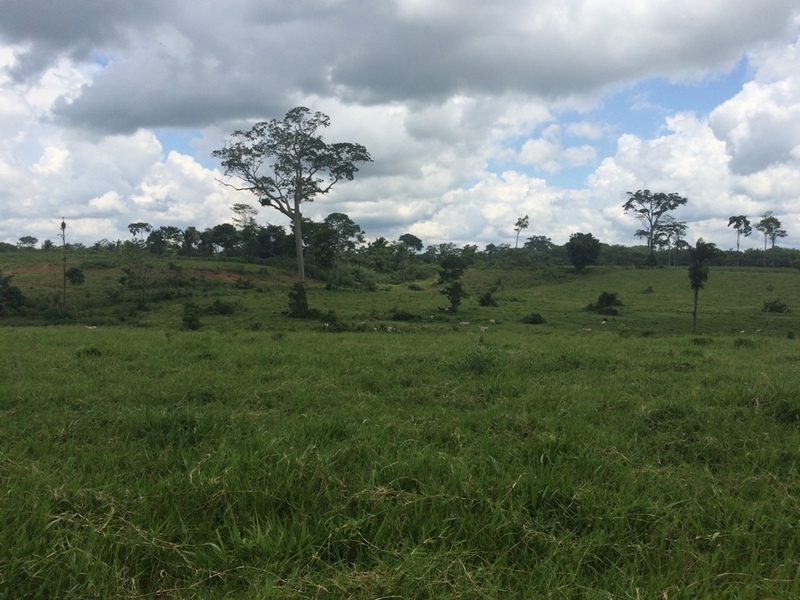 Visão leste - east view