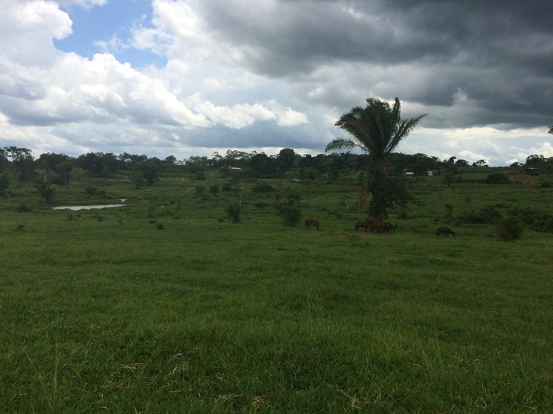 Área alagada - flooded area