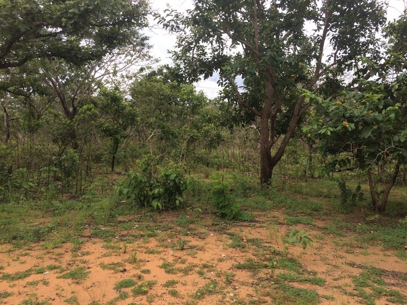 Visão geral - general view