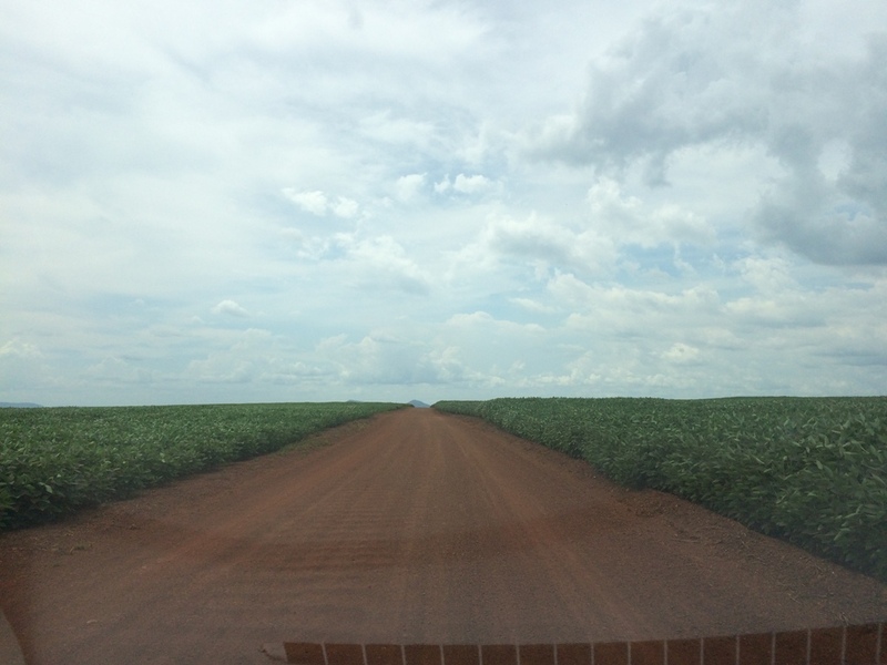 Trecho em estrada de terra - dirt road leg