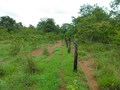 #3: Início da trilha, confluência 1.950 metros adiante - beginning of track, confluence 1,950 meters ahead