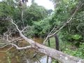 #4: Novo trecho alagado, desta vez sem condições de prosseguir, mesmo a pé - new flooded area, at this time without any conditions to go ahead, even on foot