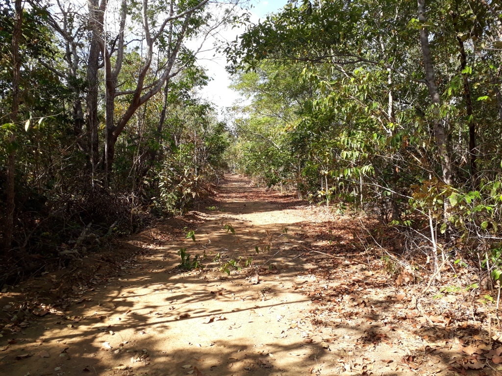 Caminhada até a confluência - hiking up to the confluence