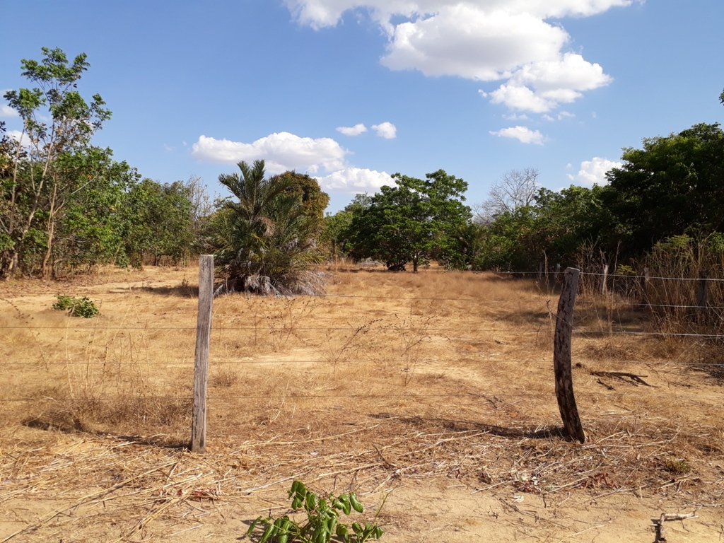 Cerca no caminho e fim da estradinha, a 280 metros do ponto exato - fence and the end of the little road, 280 meters to the exact point