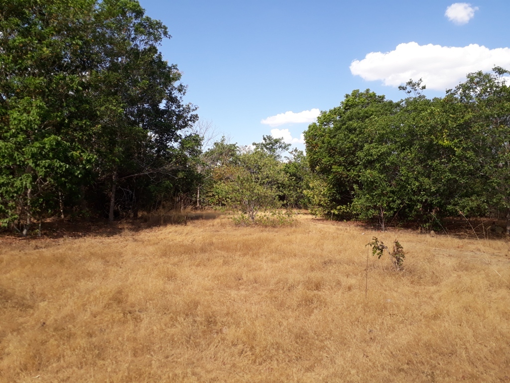 Visão geral - general view