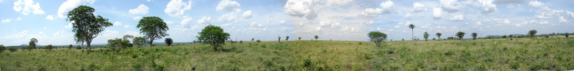 Vista panorâmica 270º