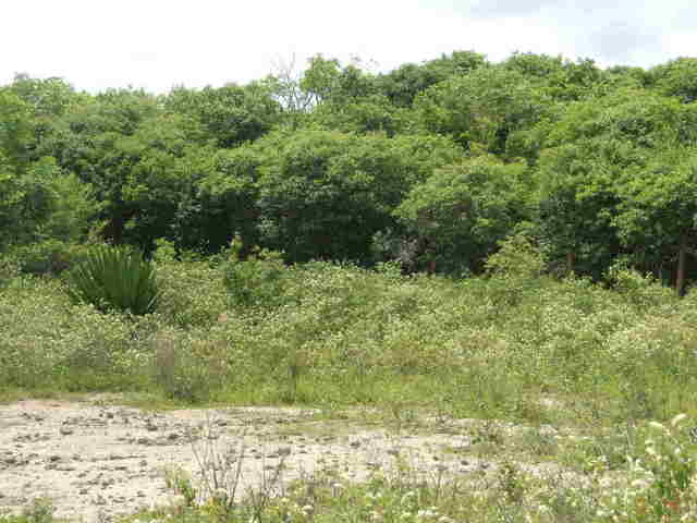 S view confluence 41W 12S