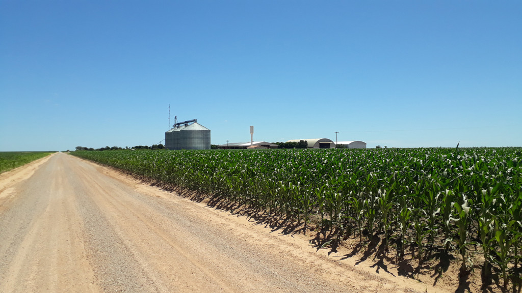 Fazenda Alvorada - Alvorada Farm