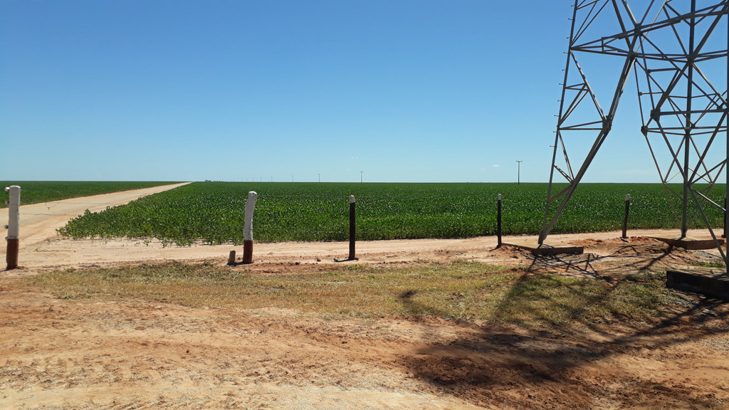 Entrada da fazenda Alvorada - Alvorada Farm entrance