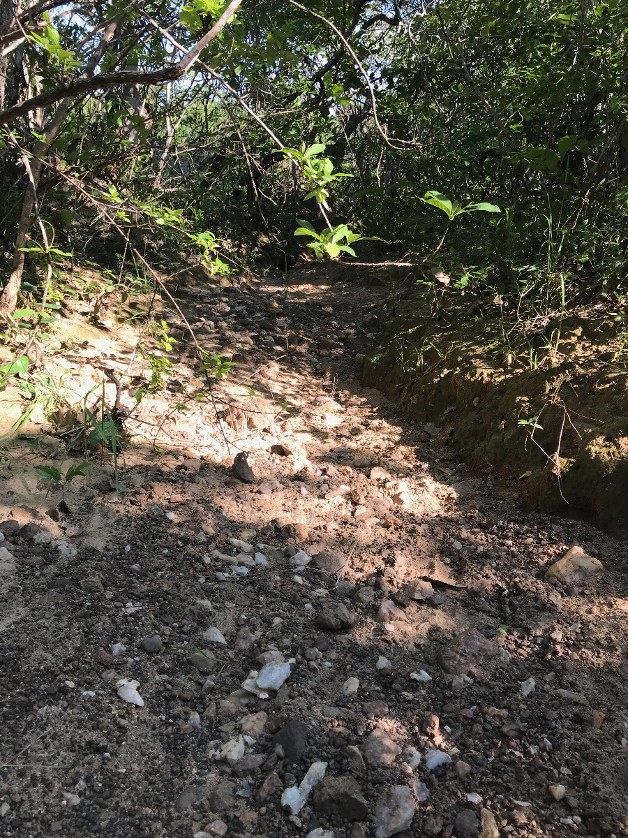 soil from the confluence area