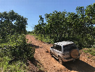 #12: road and vegetation in the area