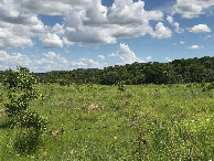 #11: View from the road to the confluence area - 500m away