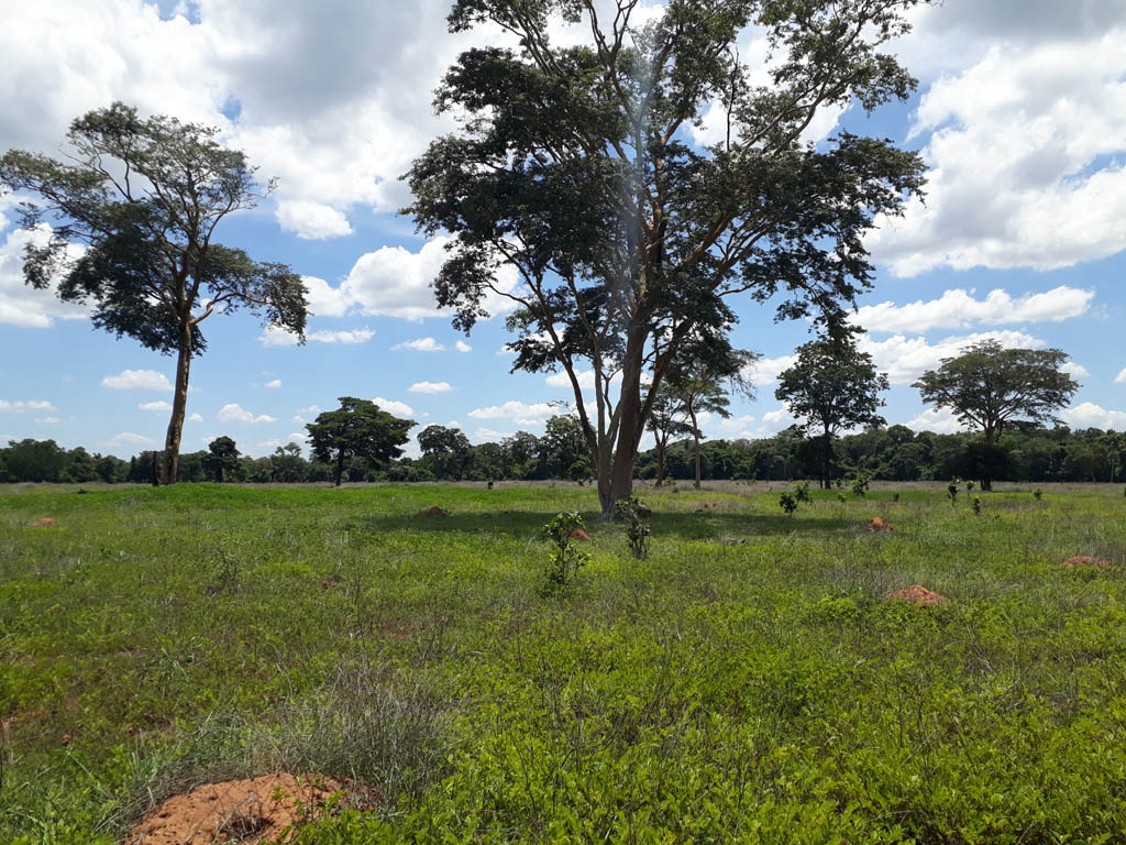 Visão geral - general view