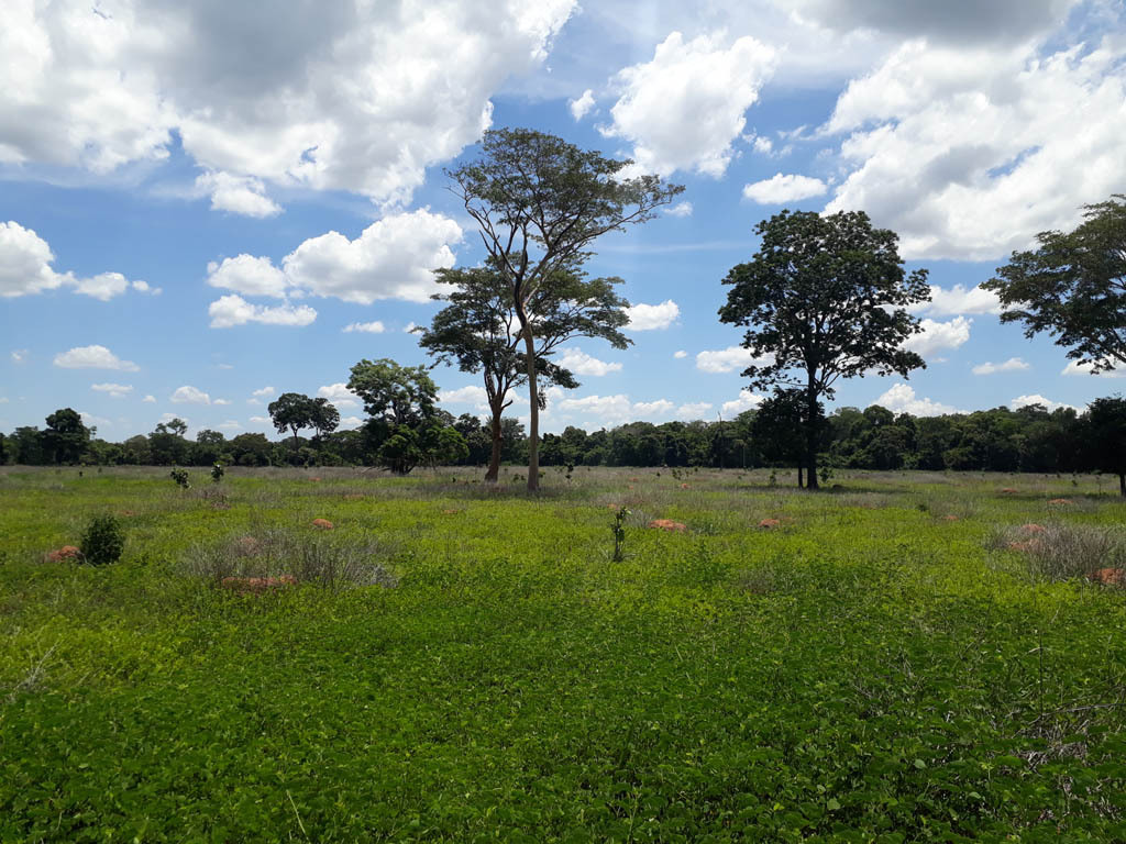 Visão sul - south view